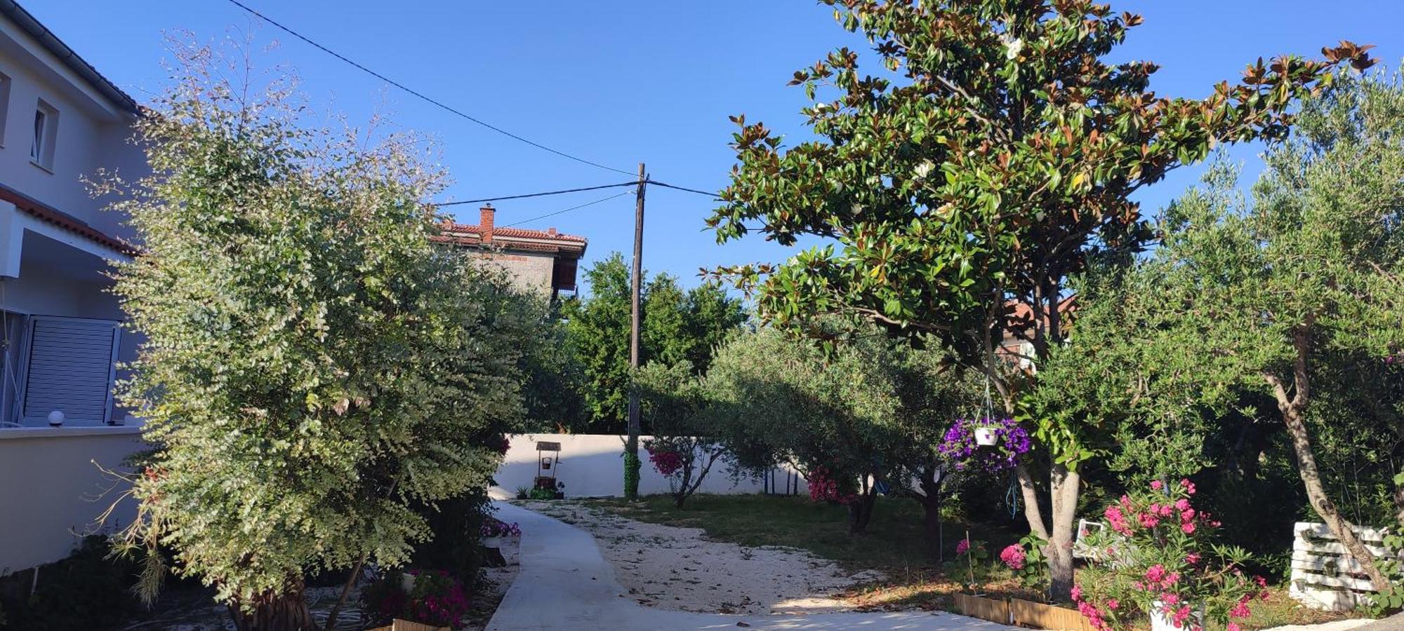 Apartments Villa Mihaela Banj Exterior foto